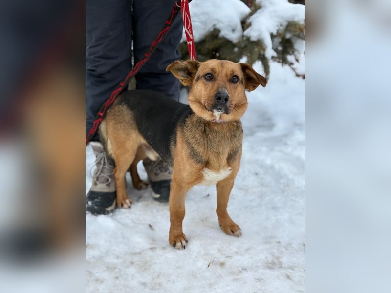 Hendri wartet auf ihr Happy End