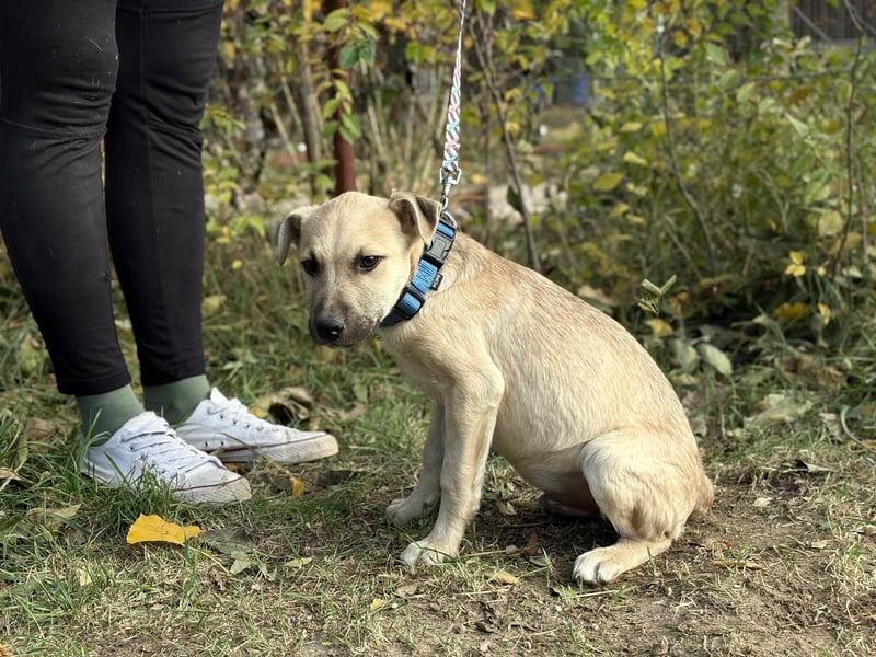 Ozan - wartet auf ein besseres Leben!