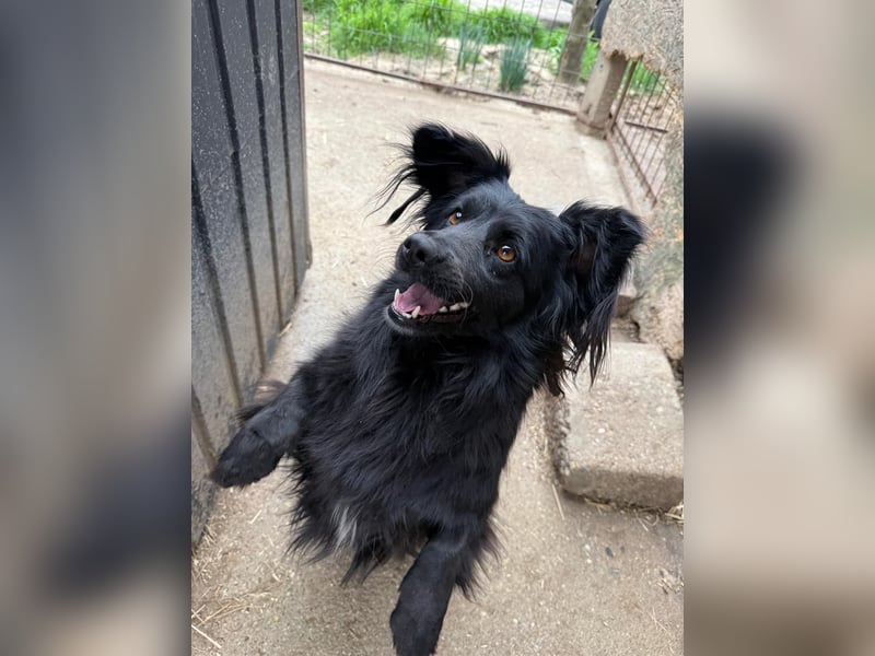 Pamacs wartet auf einen Neuanfang