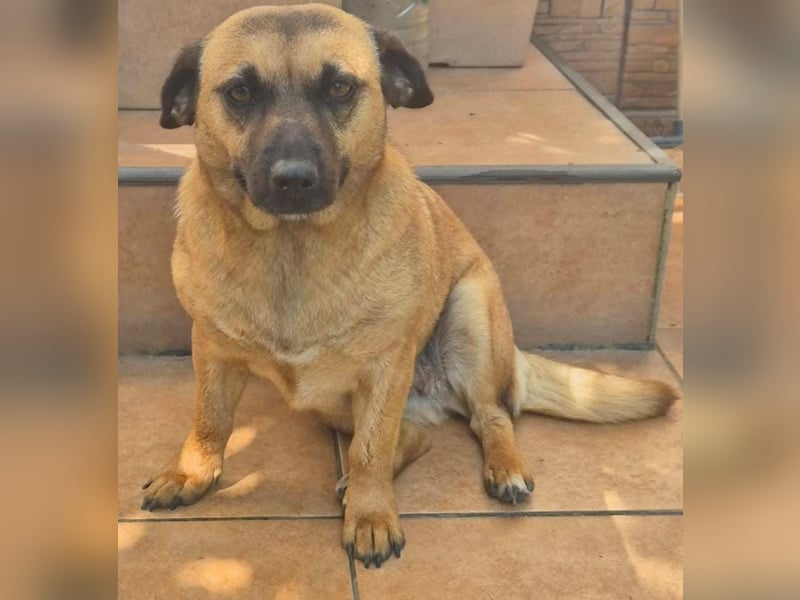 Lisa , kleines liebes Mädel möchte Rumänien verlassen