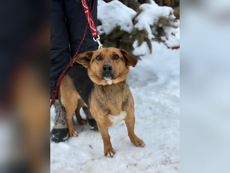 Hendri wartet auf ihr Happy End