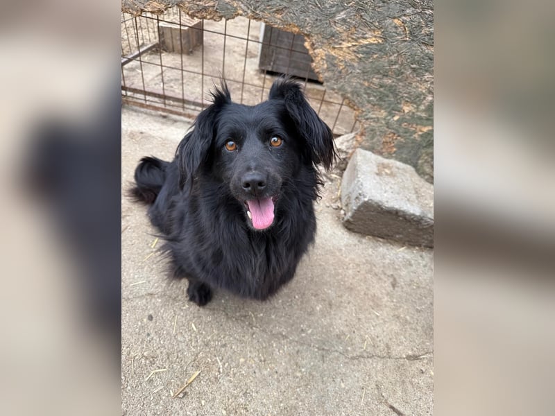 Pamacs wartet auf einen Neuanfang