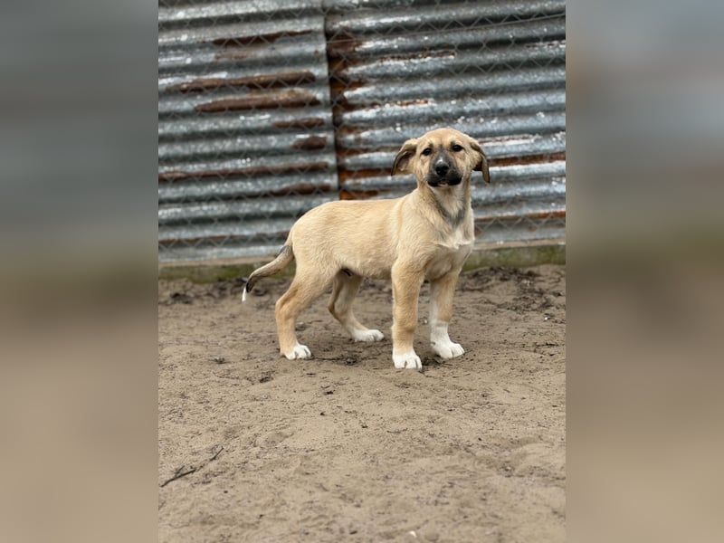 Nevio hat viel Liebe zu geben