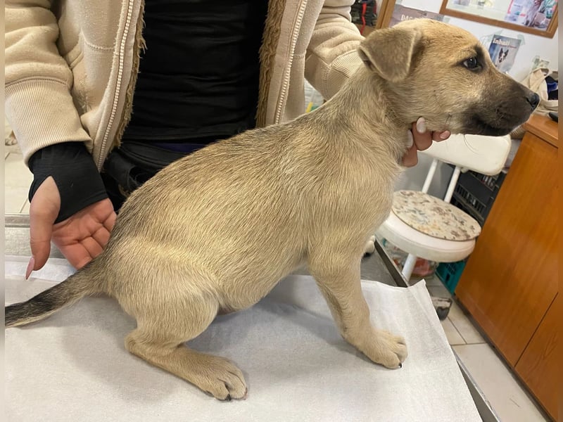 Ozan - wartet auf ein besseres Leben!