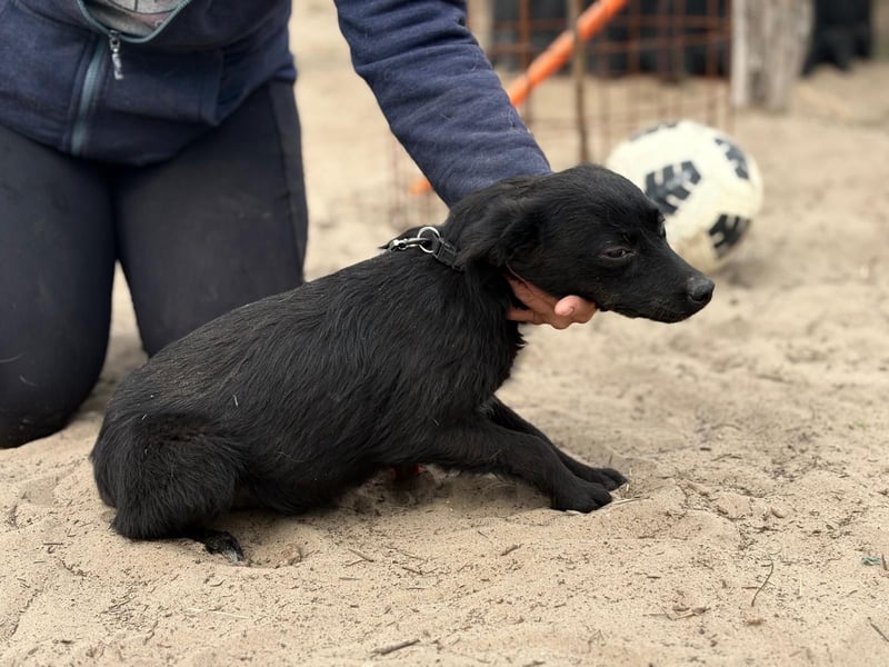 Fatima sucht Liebe und Geborgenheit