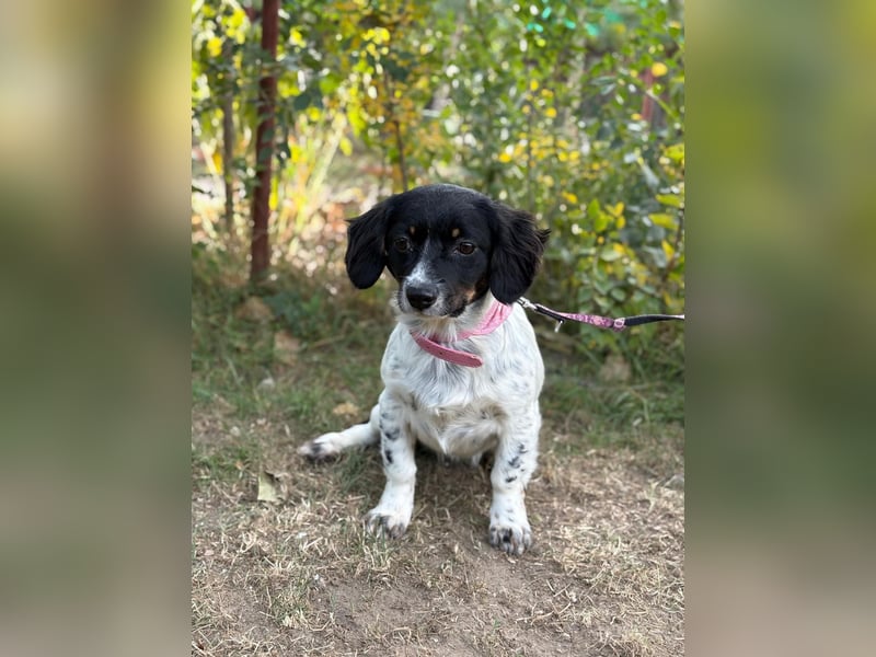 Envi möchte endlich nachhause Envi möchte endlich nachhause