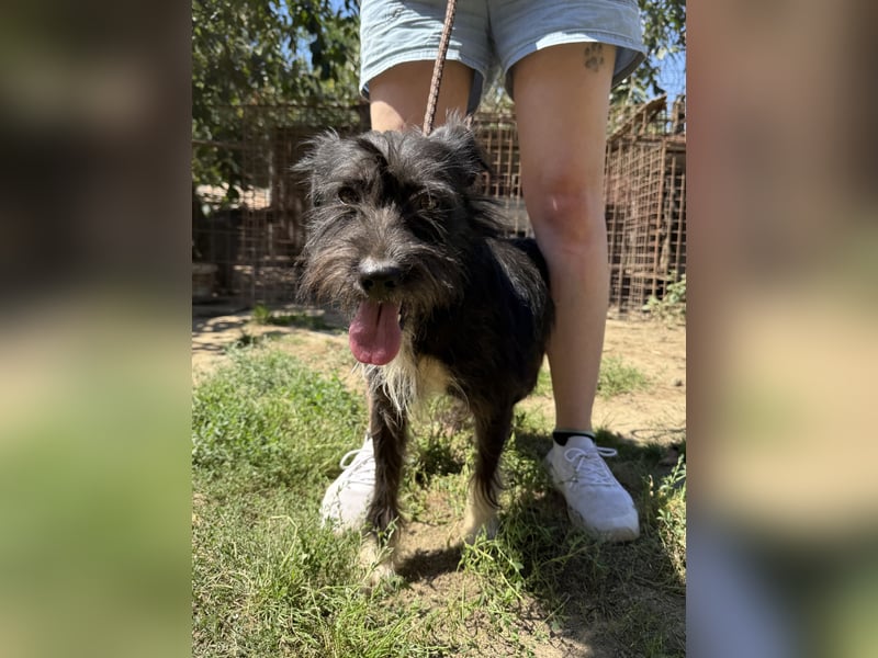 Lidi möchte endlich nicht mehr übersehen werden