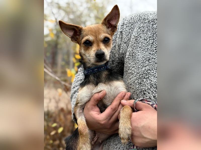 Harmat - sie will dieses Jahre nicht frieren!