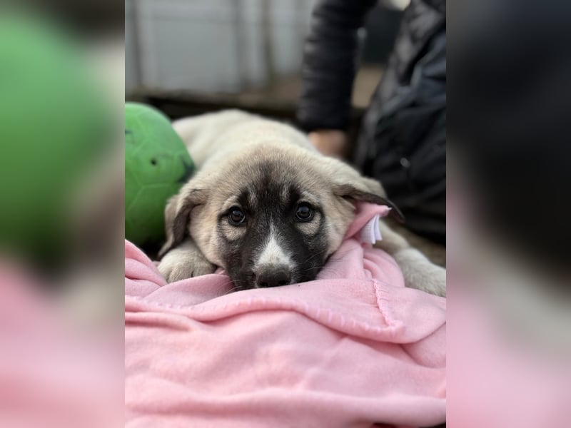 Nils ist pure Freude