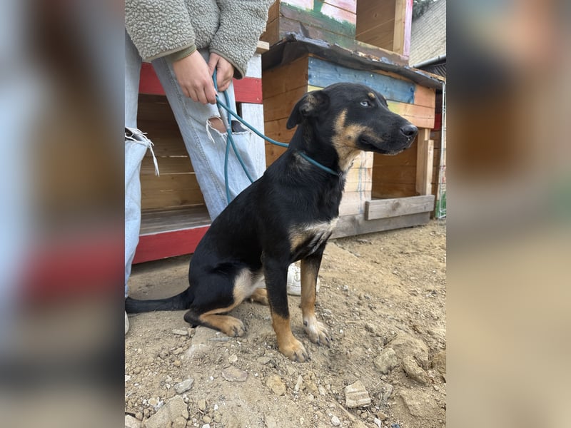 Rizling möchte zeigen, was in ihr steckt