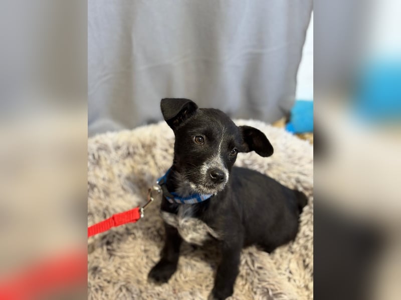 Gibst du Gerta eine Chance?