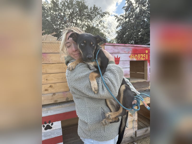 Rizling möchte zeigen, was in ihr steckt