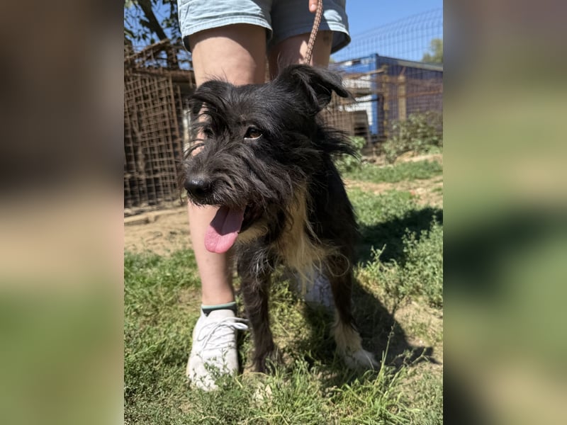 Lidi wartet sehnsüchtig auf ihre Familie