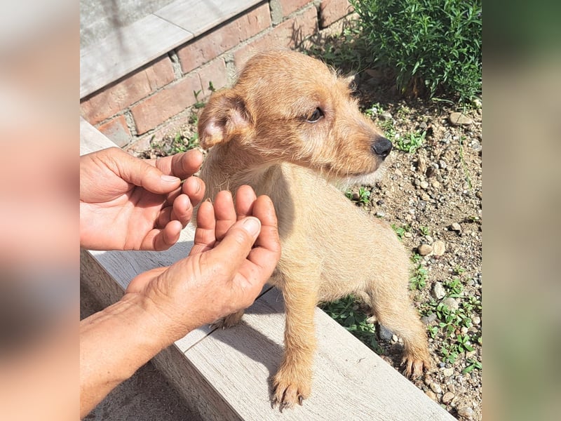 Kendy sucht ihre Herzensmenschen