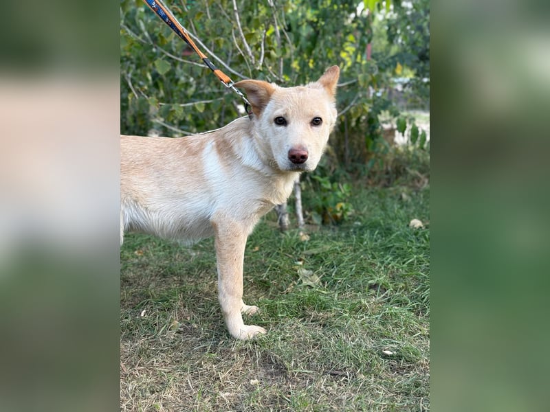 Pola möchte endlich geliebt werden