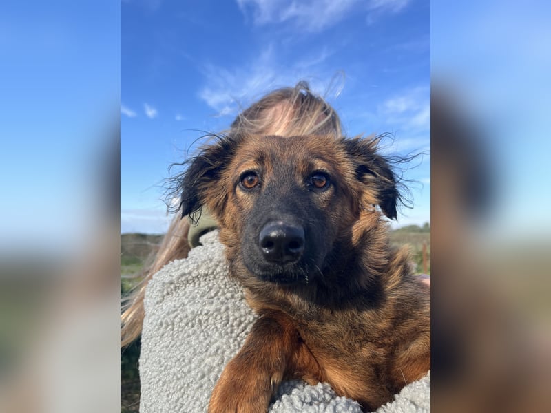 Luca - will nicht länger im kalten warten!