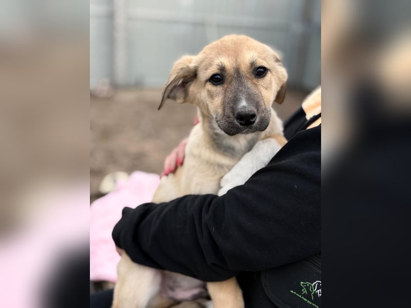 Nevio hat viel Liebe zu geben