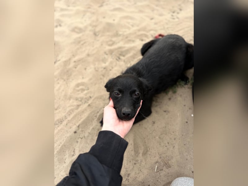 Fatima sucht Liebe und Geborgenheit