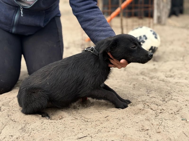 Fatima sucht Liebe und Geborgenheit