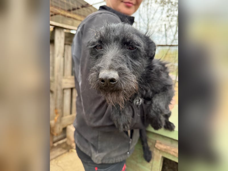 Jenga möchte die Welt mit dir entdecken