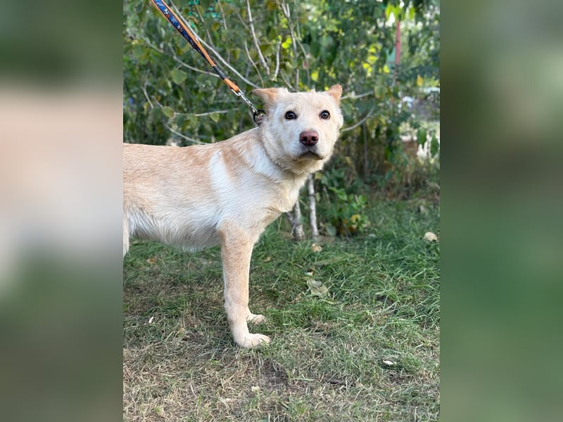 Pola möchte endlich geliebt werden