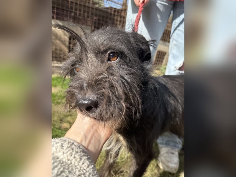 Lidi möchte endlich nicht mehr übersehen werden