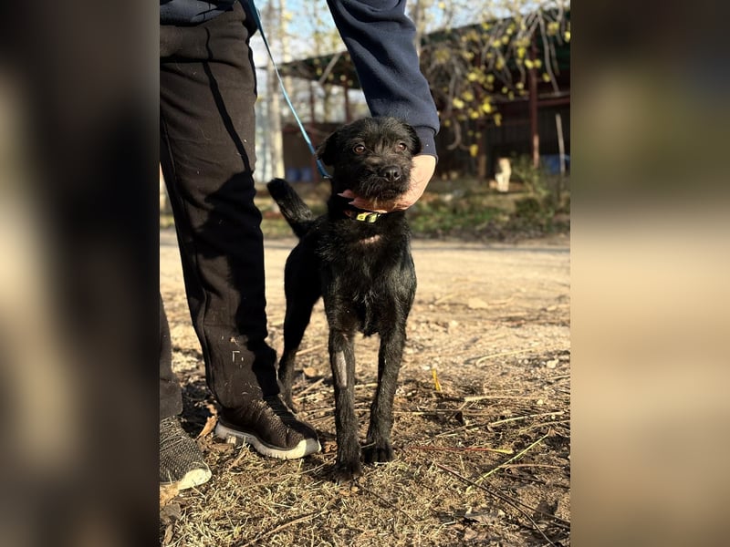 Leandra - Süße Maus will endlich ankommen!