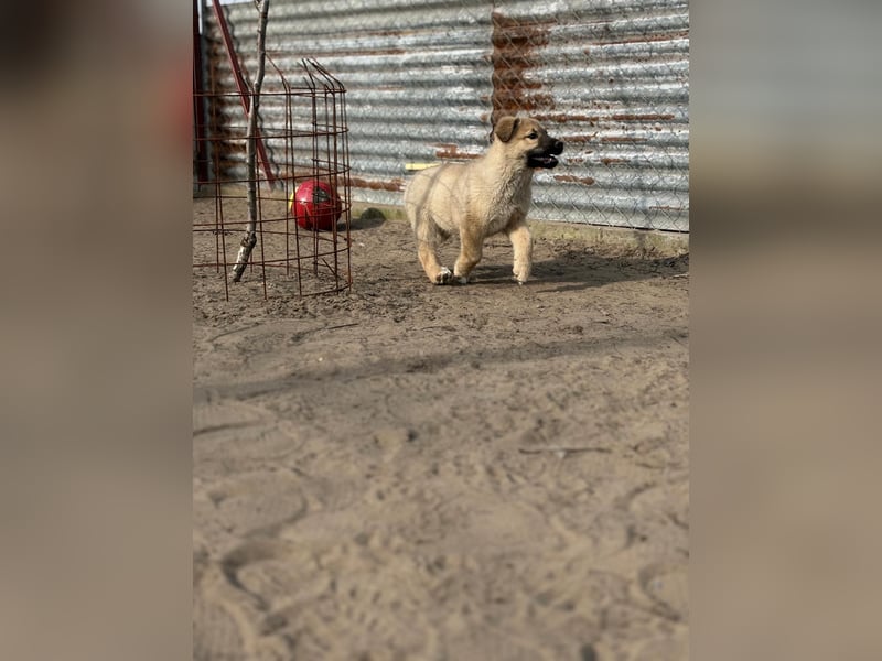 Nash hofft auf sein Glück