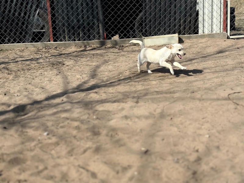 Bibe sucht ein Herz, das sie liebt