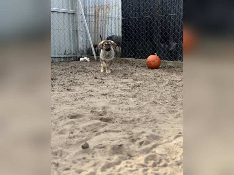 Nevin träumt von einem eigenen Zuhause