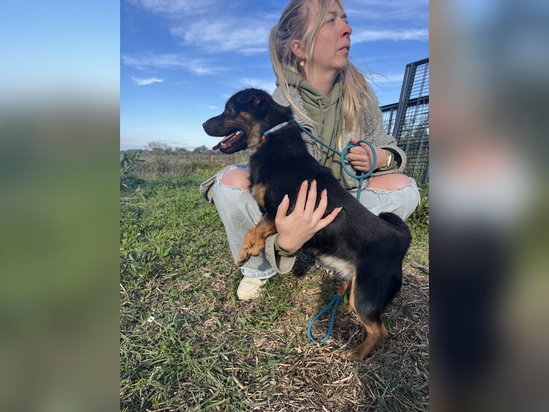 Kolos wartet auf dich