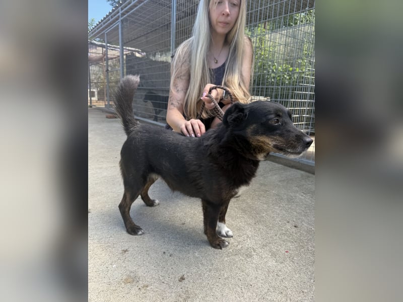 Trixie - Kämpferin sucht großes Glück