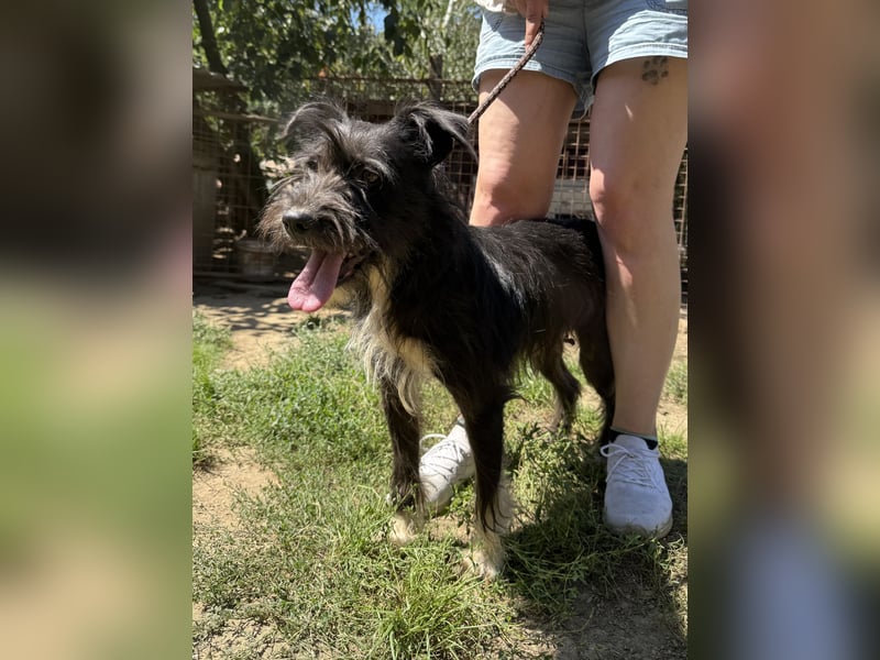 Lidi ist unser Sonnenschein