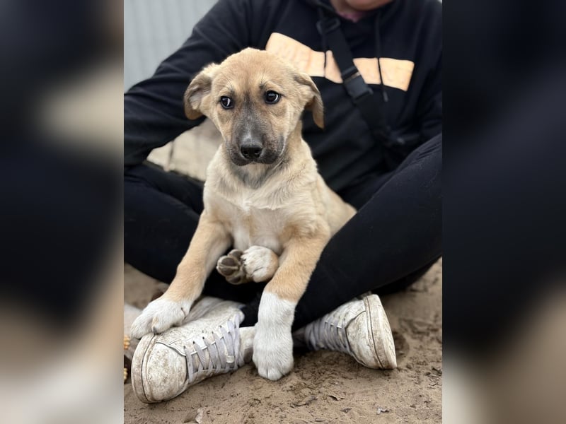 Nevio hat viel Liebe zu geben