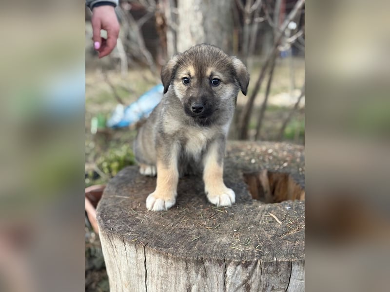Nevin träumt von einem eigenen Zuhause