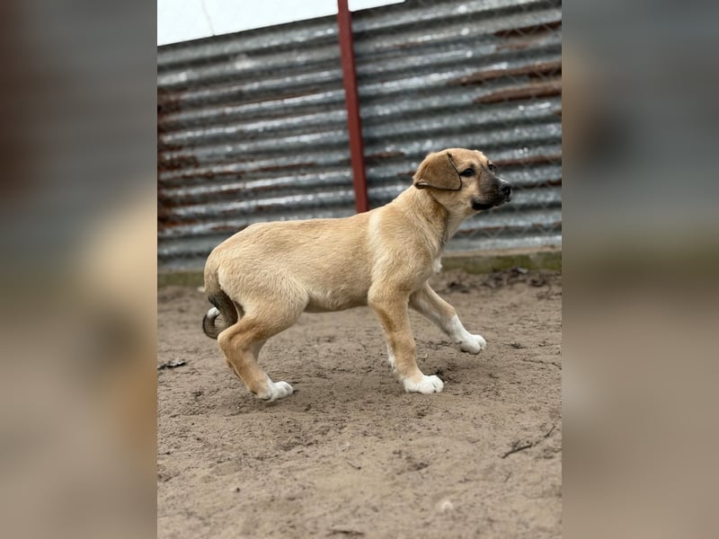 Nevio hat viel Liebe zu geben