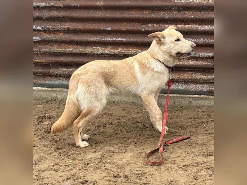 Pola möchte endlich geliebt werden