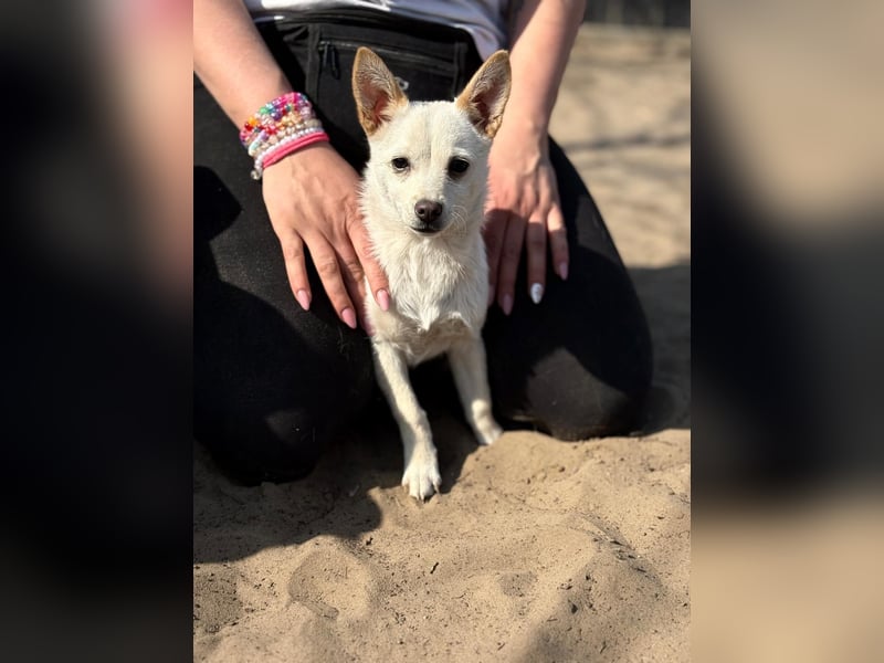 Bibe sucht ein Herz, das sie liebt