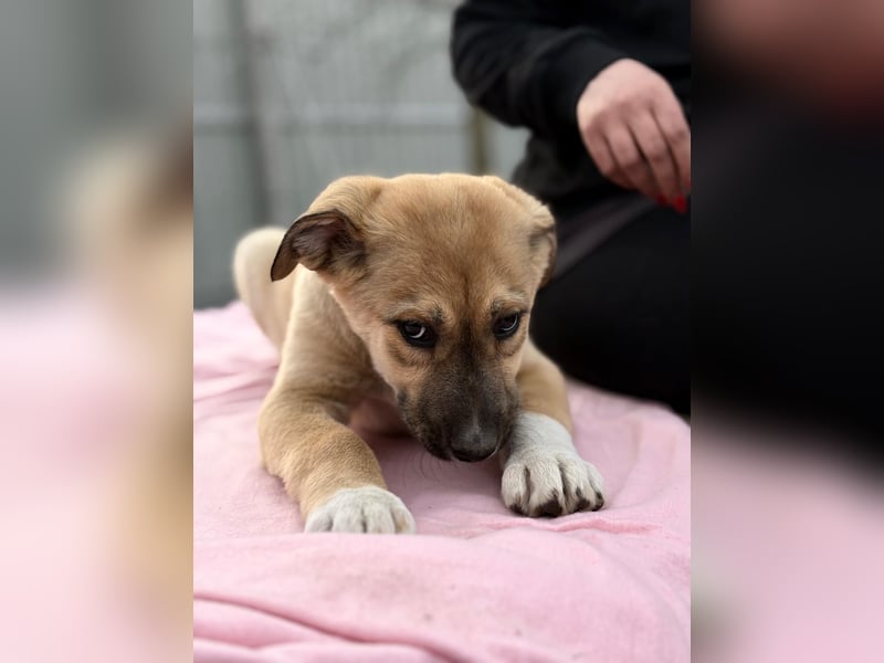 Nevio hat viel Liebe zu geben