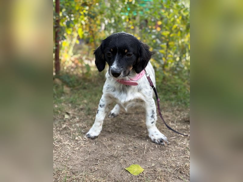 Envi möchte endlich nachhause Envi möchte endlich nachhause