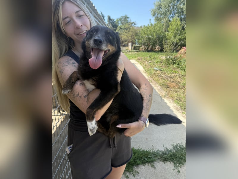 Trixie - Kämpferin sucht großes Glück