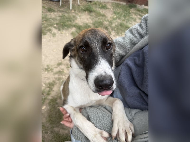 Hezöl sucht ihre Menschen