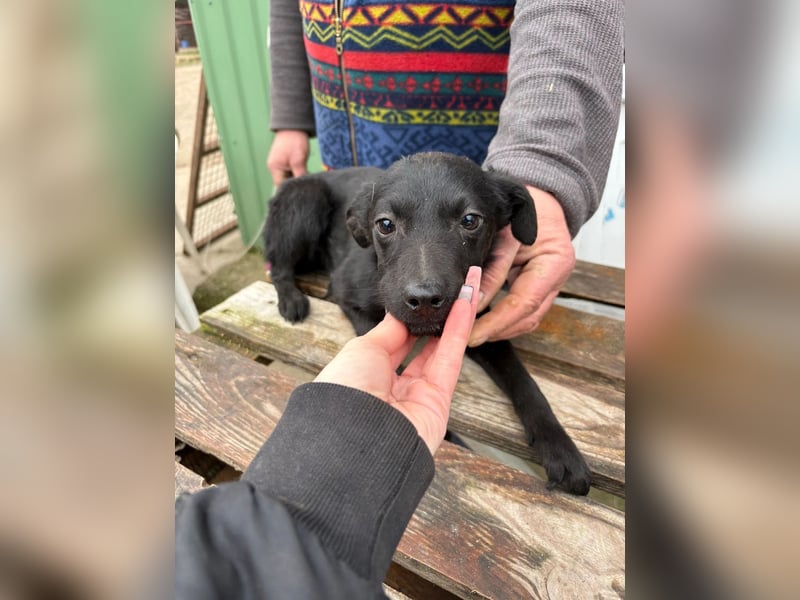 Fatima sucht Liebe und Geborgenheit