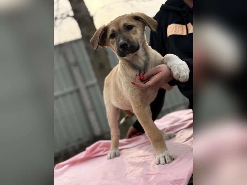 Nevio hat viel Liebe zu geben