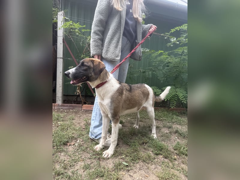 Hezöl sucht ihre Menschen