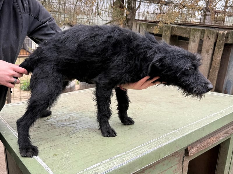 Jenga möchte die Welt mit dir entdecken