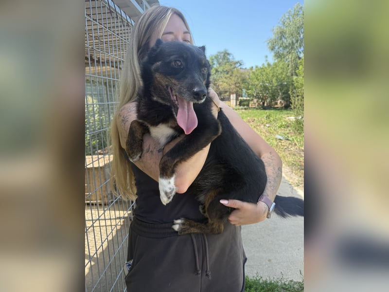 Trixie - Kämpferin sucht großes Glück