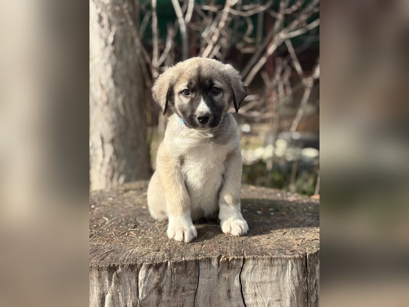 Nils ist pure Freude