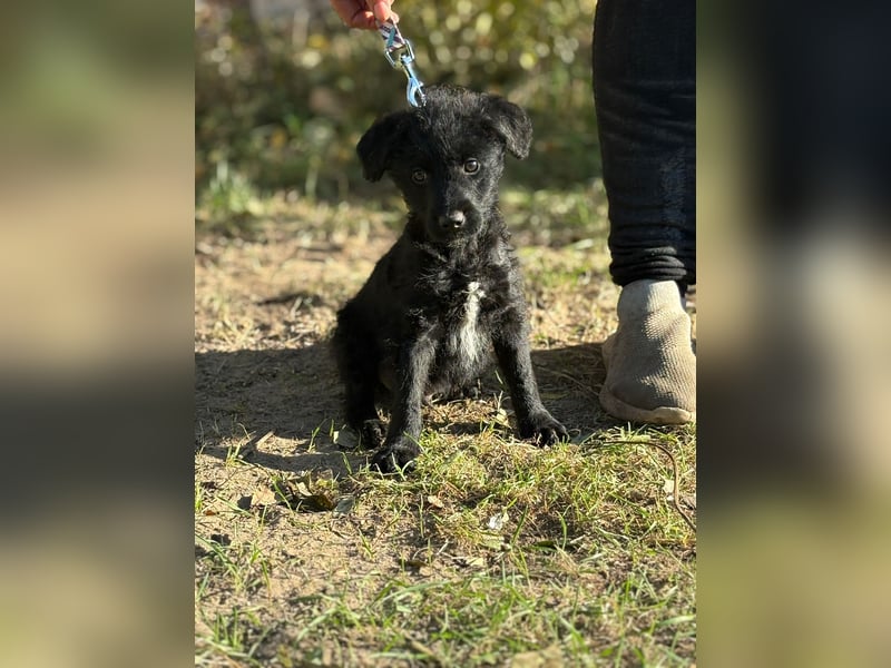 Kende wartet auf einen Neuanfang