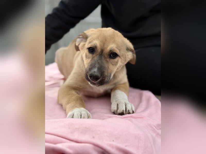 Nevio hat viel Liebe zu geben